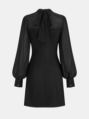 Sheer Chiffon Paneled A-Line Mini Dress