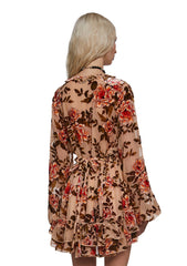 Clementine Printed Velvet Dress